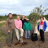Fynbos garden pearly beach